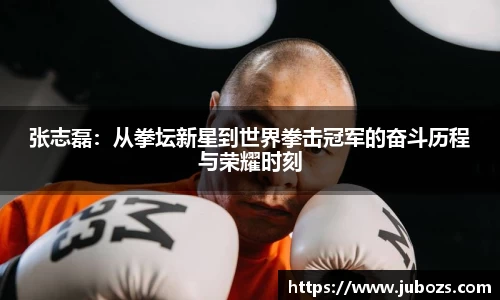 张志磊：从拳坛新星到世界拳击冠军的奋斗历程与荣耀时刻